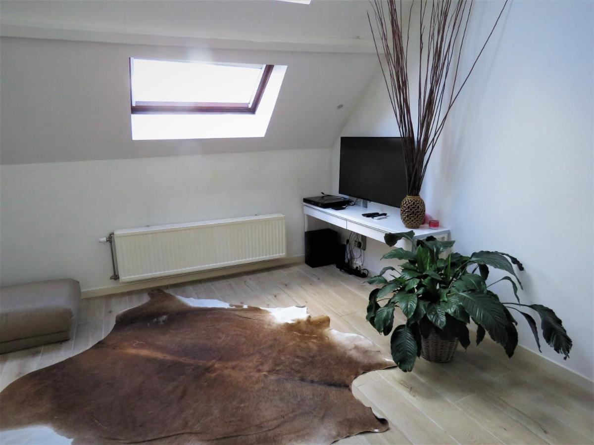 Villa Einstein Apartments Anvers Exterior foto